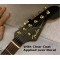 Washburn Dean Dime Guitar Decal M65b